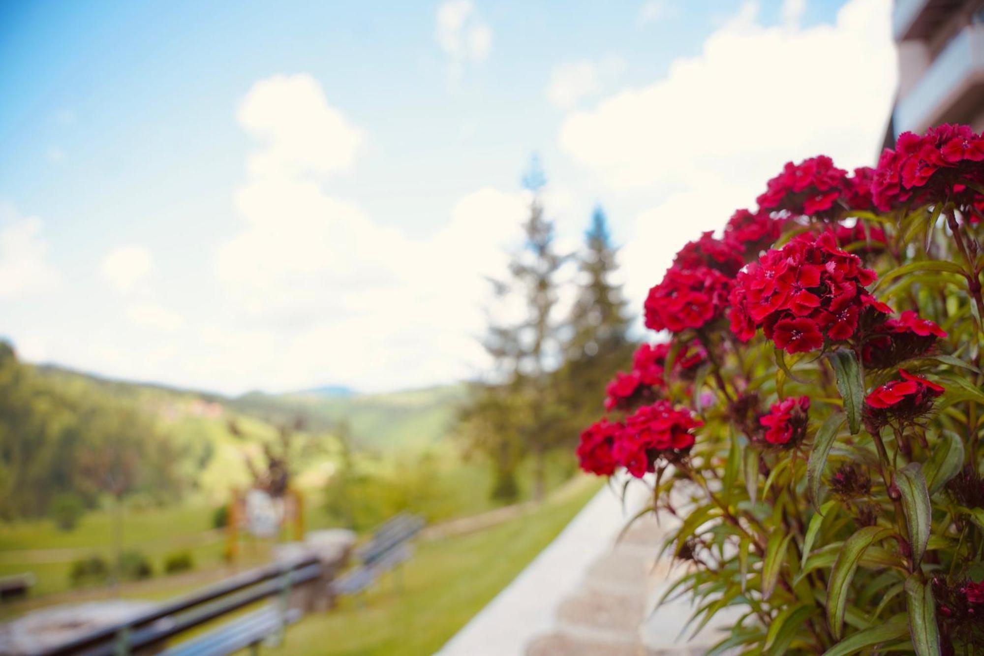Zlatarska Kruna Нова-Варош Екстер'єр фото
